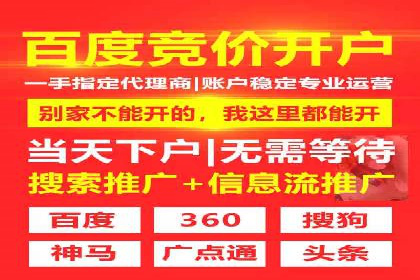 精准投放，高效转化：关键词竞价排名案例解析